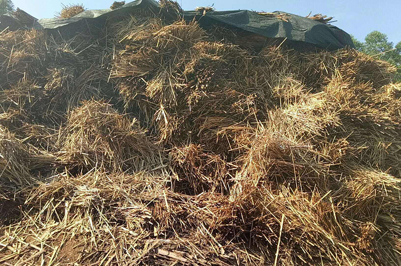 麻桿-連續(xù)式炭化爐物料