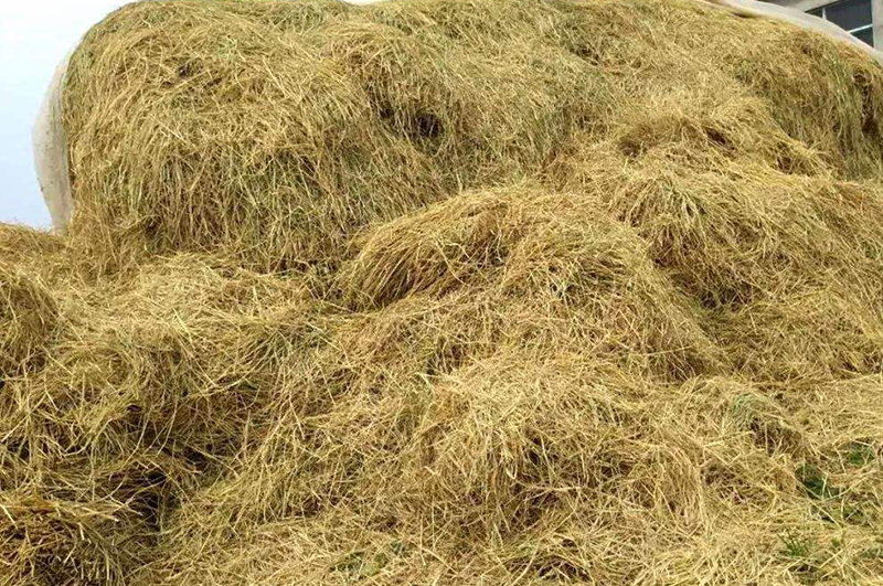 秸稈能做炭？秸稈炭化能做什么？秸稈連續(xù)式炭化爐前景如何？