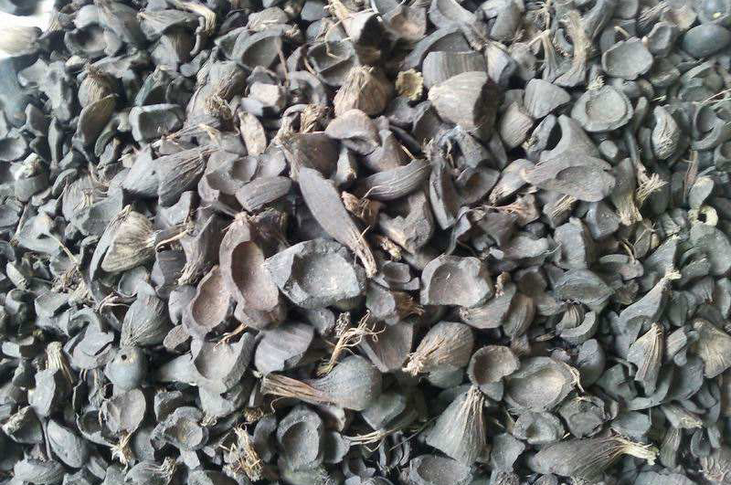 棕櫚殼能做燃料和活性炭，哪種利潤(rùn)價(jià)值更高？