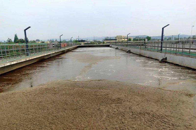 城市生活污泥處理工程成本高嗎，能有利潤嗎？