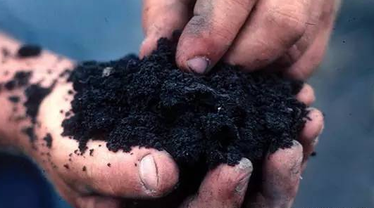 連續(xù)式炭化爐 提升效率與品質(zhì)