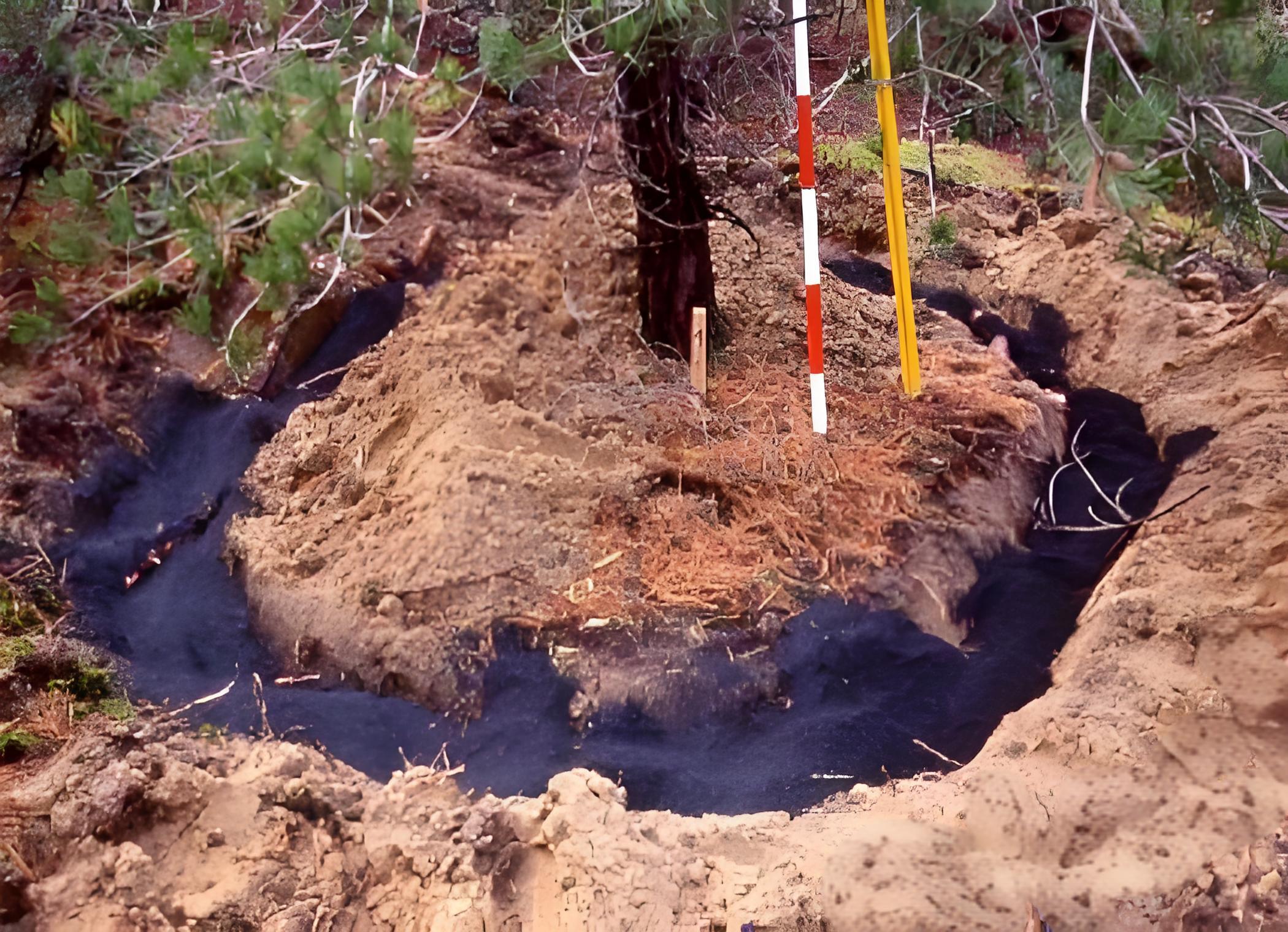 <strong>生物質(zhì)炭化爐制作活性炭，用于土壤改良</strong>