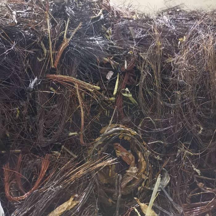 <strong>讓廢棄漆包線重煥生機——連續(xù)式脫漆技術(shù)的應(yīng)用</strong>