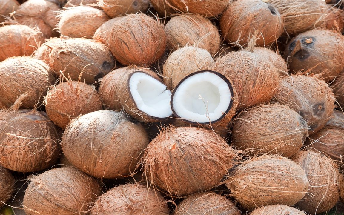 <strong>椰殼變椰殼炭：連續(xù)式碳化爐大顯身手</strong>