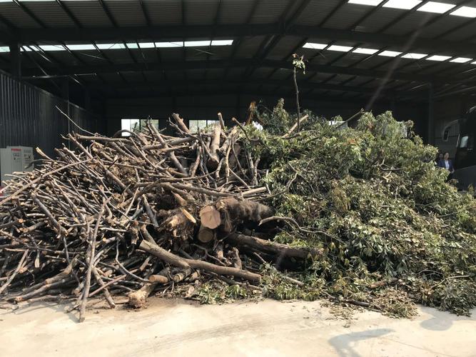 <strong>園林修剪殘枝敗葉的華麗轉(zhuǎn)身：連續(xù)式炭化爐的綠色實踐</strong>