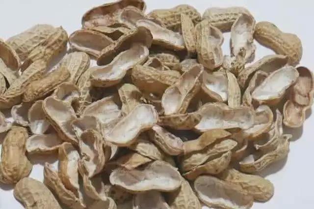 連續(xù)式炭化爐：廢棄花生殼轉(zhuǎn)化成工業(yè)燃料