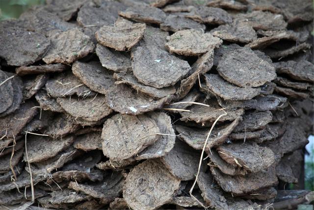 <strong>牛糞變身記：連續(xù)式炭化爐開啟新“錢”景</strong>