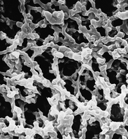 HAWP01300 MF-Millipore MCE親水圓片濾膜,13mm,0.45um