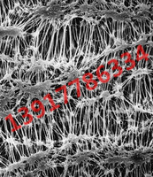 美國Merck Millipore Isopore 聚碳酸酯表面濾膜 美國Merck Millipore Isopore 聚碳酸酯表面濾膜