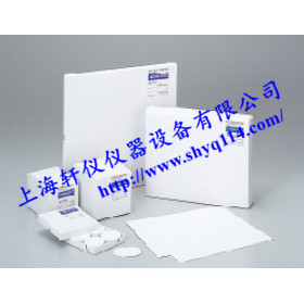 日本TOYO Advantec DP-70玻璃纖維濾紙